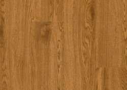 A6413 Gunstock