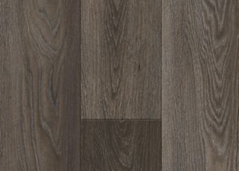 Carbonized Gray