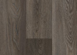 Carbonized Gray