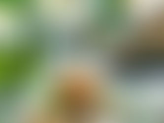 Range Nights på tisdagar är igång!