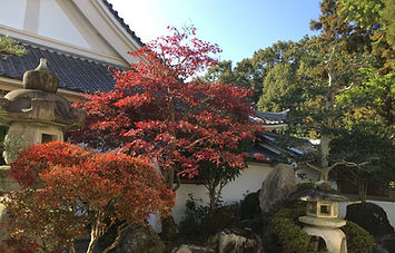 IMG_0237_edited.jpg