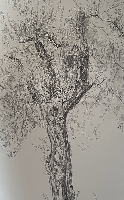 Art - 1 of 1 (1).jpeg