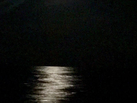 Night Watch - Bermuda Return
