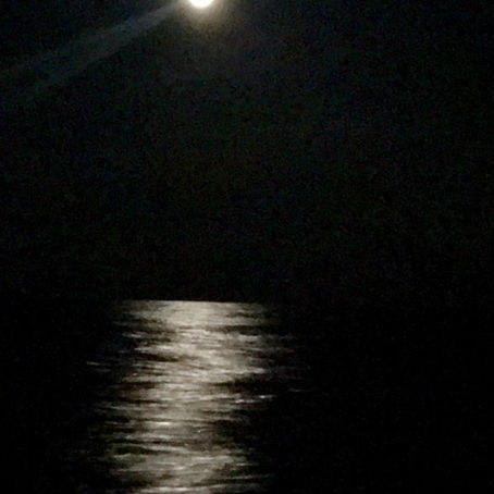 Night Watch - Bermuda Return