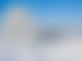 Markus Anecdotes-How I Tried to Cook Like a Dutch Grandma While Managing 9 Fur Kids