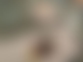 Foodies - Dine in, Checkout, Takeaway, Delivery