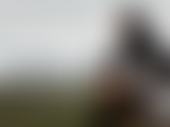 Promotional image for the documentary film Man on the Run