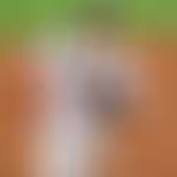 Blue Jays sign 3B Kazuma Okamoto
