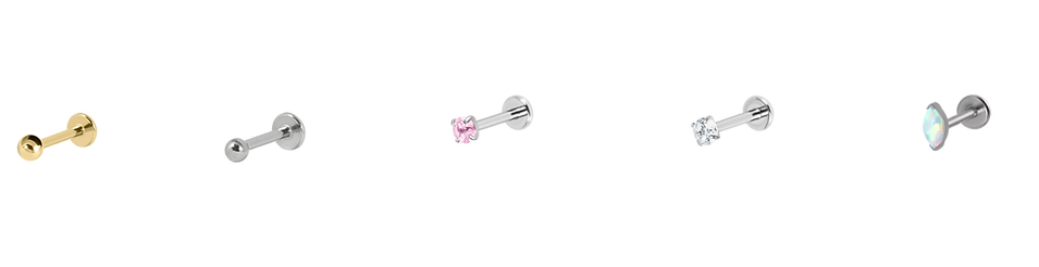 piercing lookbook .png