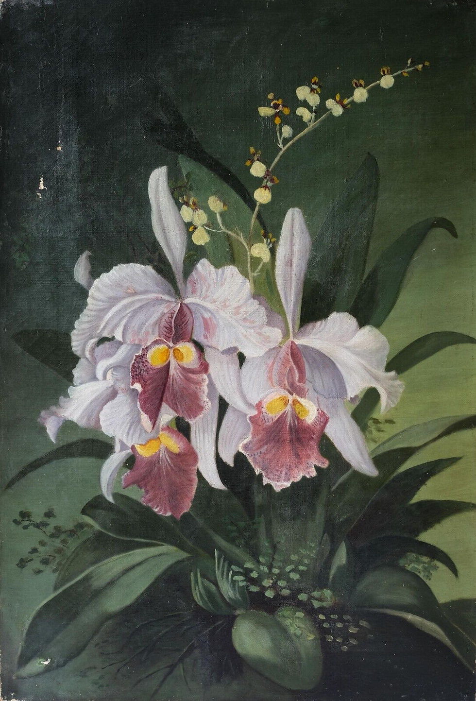 Painting Orchids Flowers, Still Life Bouquet