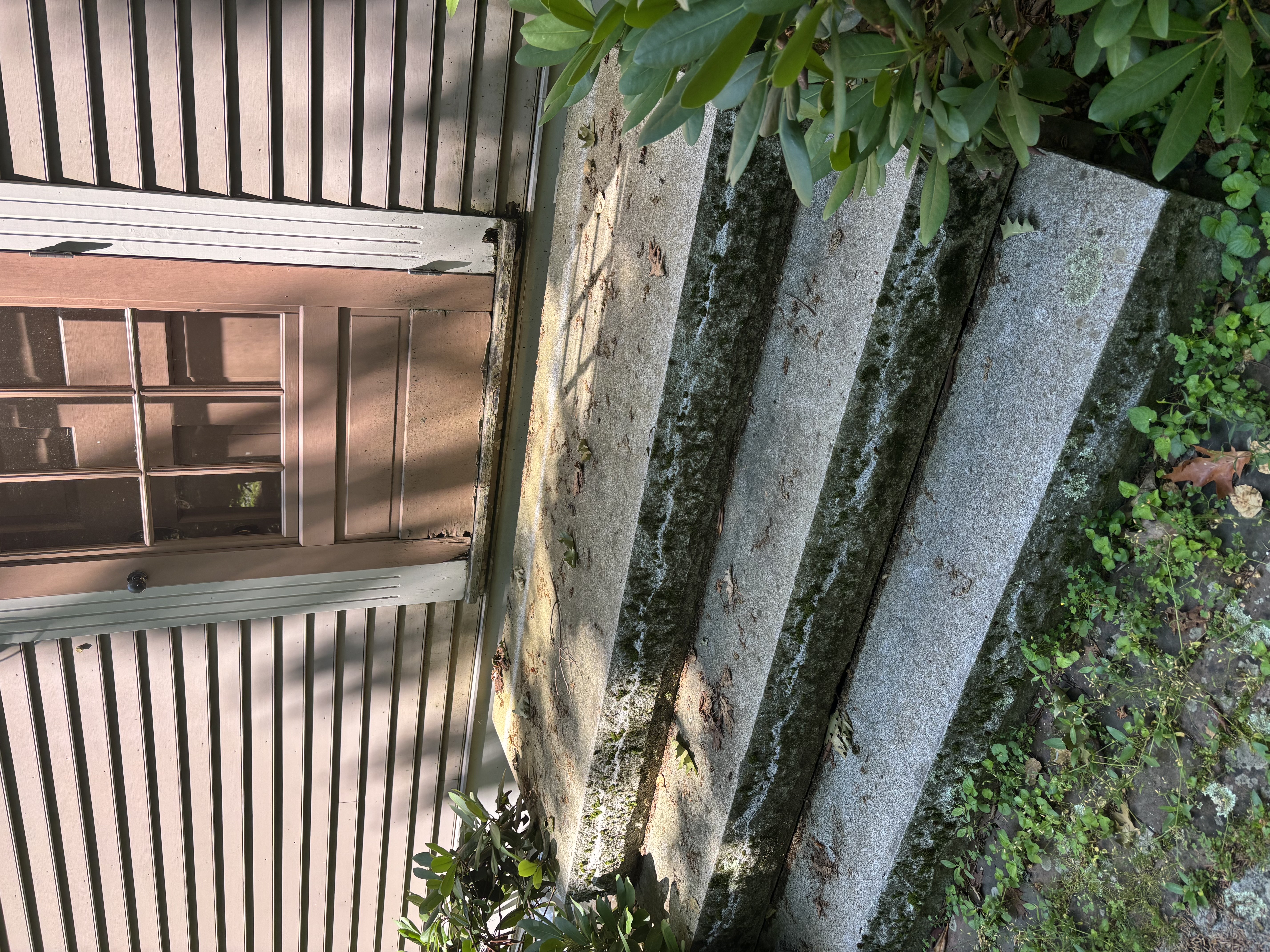 Stairs before