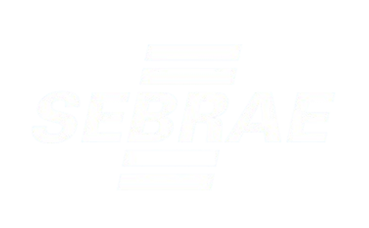 SEBRAE BRANCA.png