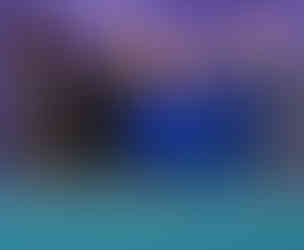 Carol Myers & Maxwell Faculty