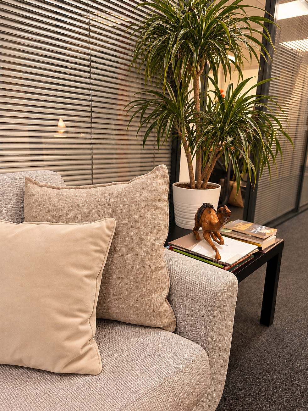Coin salon avec plante et chameau décoratif.png