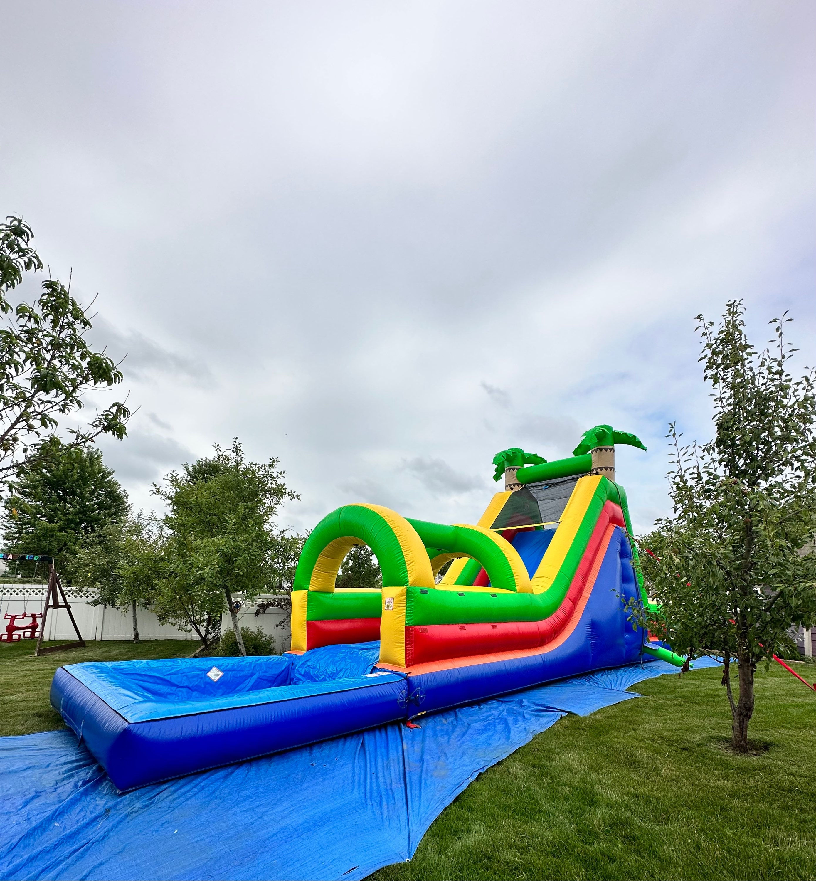 #23W Tall climb palm trees Water Slide with pool 