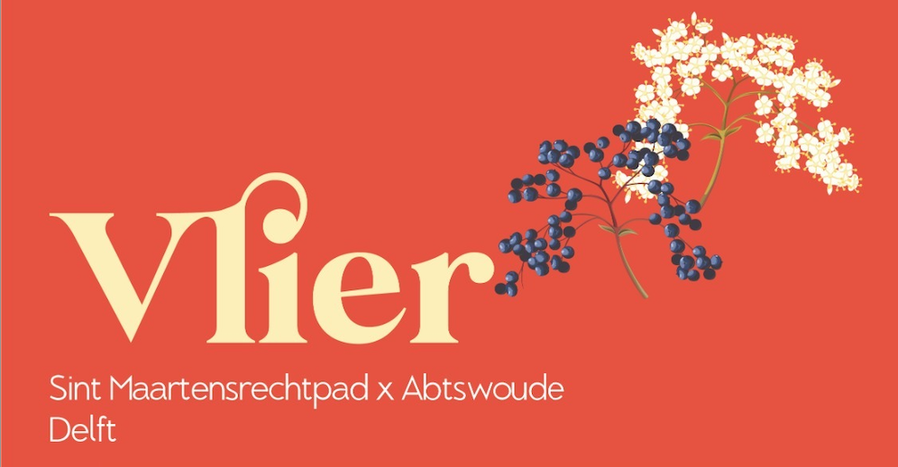 Vlier