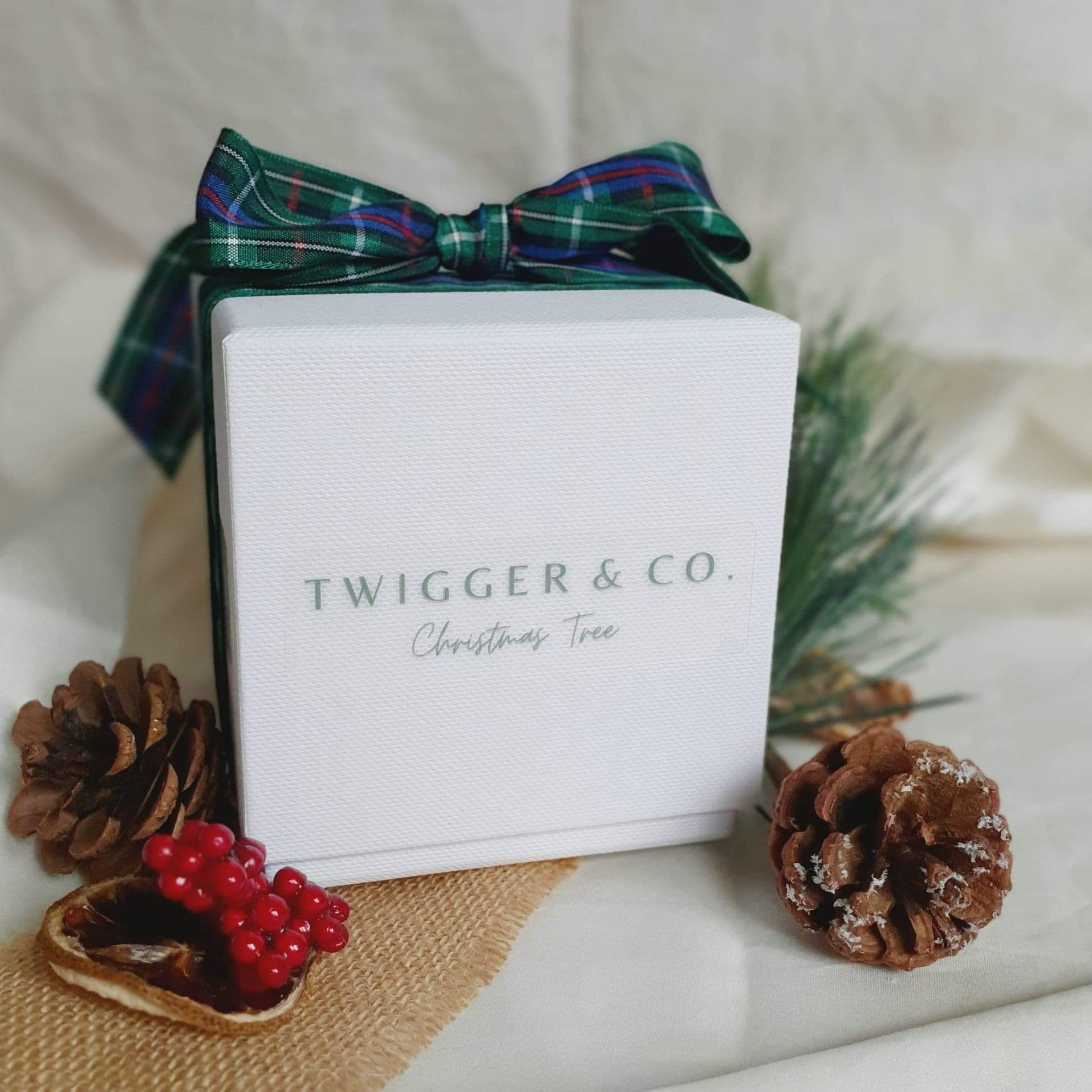 Christmas Tree Medium candle