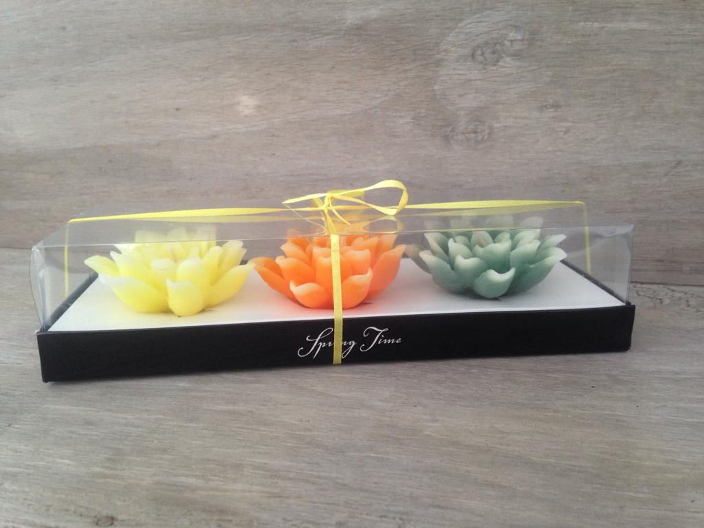 Kit de Velas flotantes Clavel