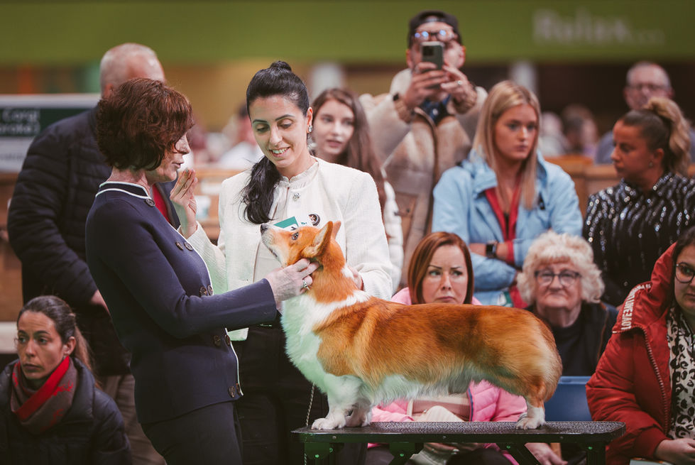 Crufts_09_03_2025_004