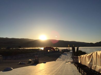 Wildflower: Swim start