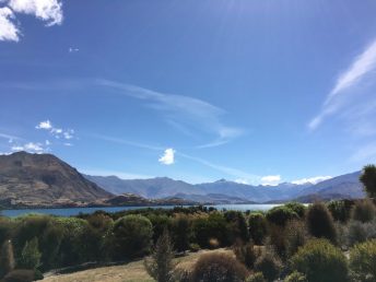 The view I woke up to every day, at my fabulous homestay, The Waltons. The run course is just behind the hedge.