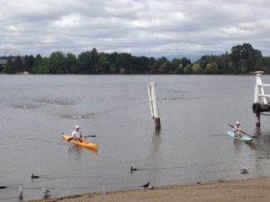 dsquad_open water swim session copy