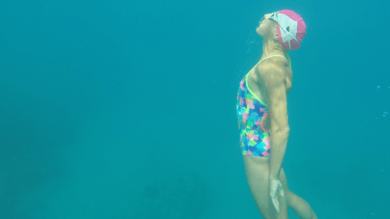 Searching for dolphins and turtles at Captain Cook