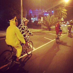 easter eggs_animal cycling