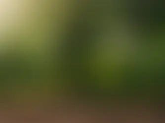 Don't Reinvent the Wheel!