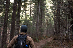 West Fork Canyon Trail