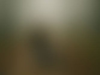 WEEK 33: What If Tiny Wins Are the Whole Point?