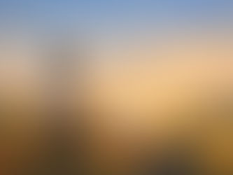 WEEK 58/6: You Don’t Need a Script. You Need Fewer Conversations