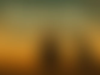 WEEK 35: Bravery Looks Boring Up Close