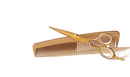 Scissors and Comb_edited.png