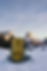 920A3641 Groot.png