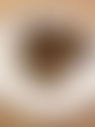 Keto Air Fryer Fried Chicken