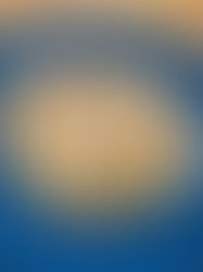 Slow Cooker Beef Stroganoff Low Carb