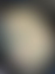 Creamy Ranch Chicken - Slow Cooker