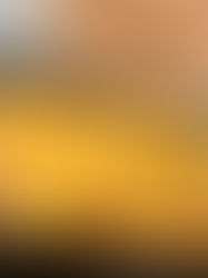 Low Carb Chicken Enchiladas