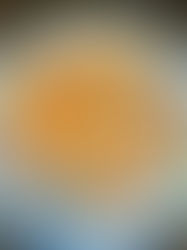 Everything Bagel Bites