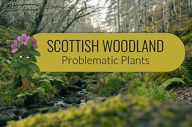 Problematic Plants.jpg