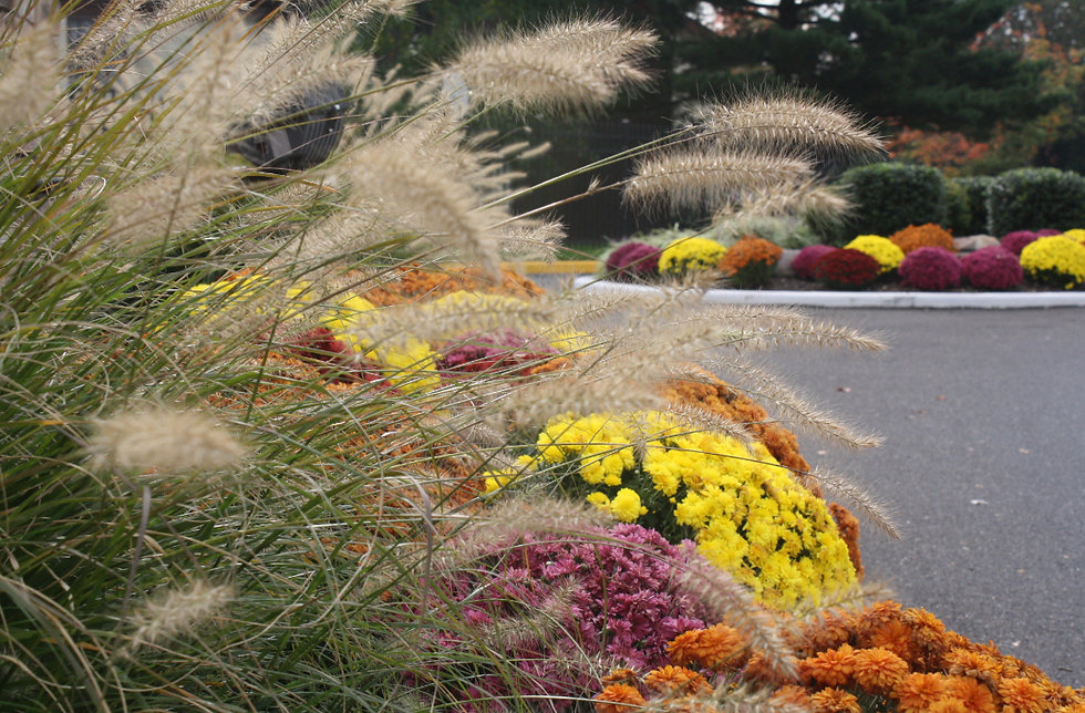 Four Seasons Total Landscaping, INC