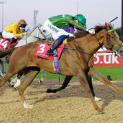 Racehorse Oliver SHow owned by Pompey Ventures  wins again