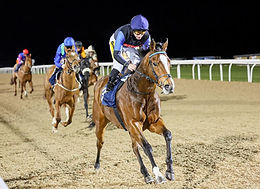 Tuco Wins for Pompey Ventures