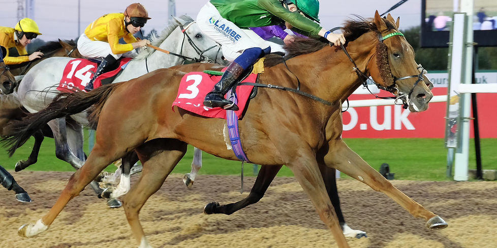 Racehorse Pompey Ventures