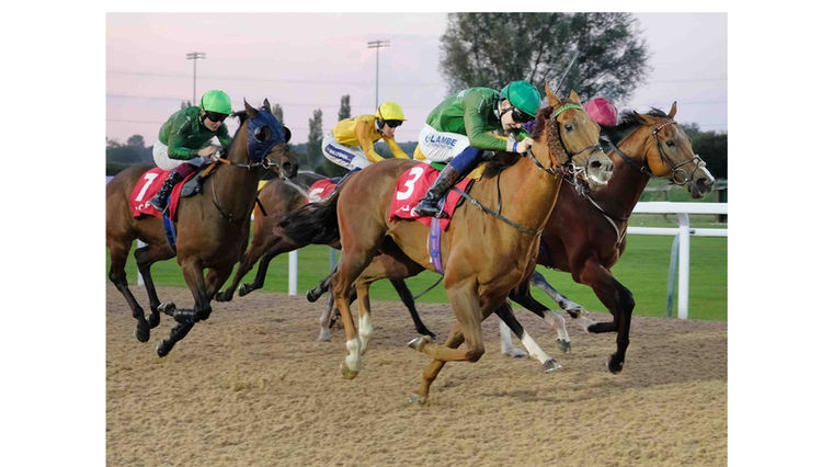Oliver Show winning at Southwell