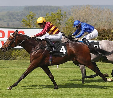 Protection Act Racehorse