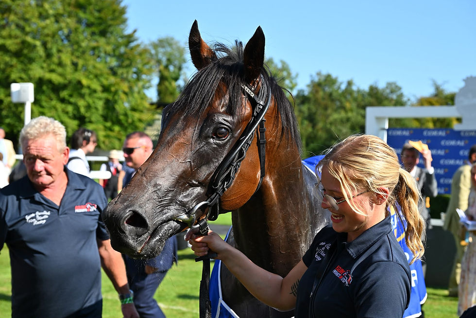French Affair owned by Pompey Ventures racehorse syndicates and trained by Jennie Candlish