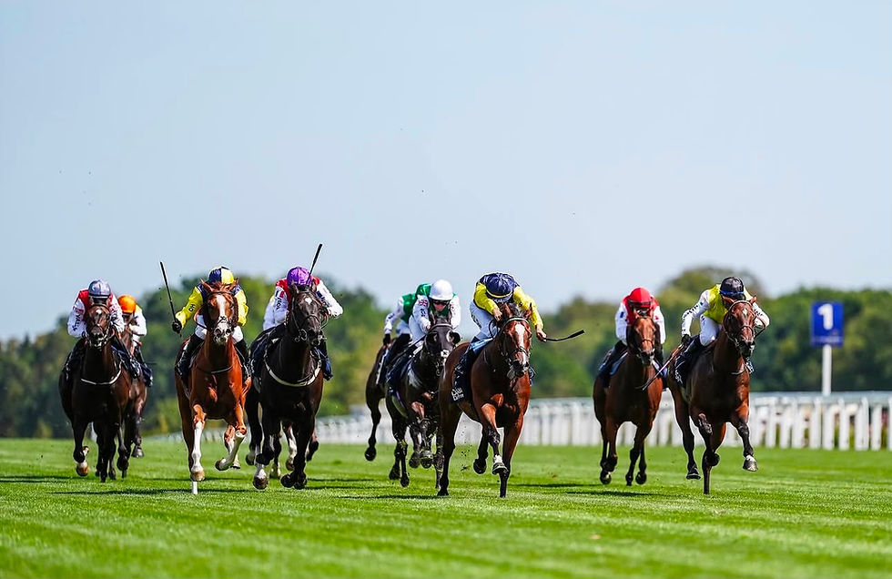 Tuco Salamanca winning Shergar Cup Dash at Ascot