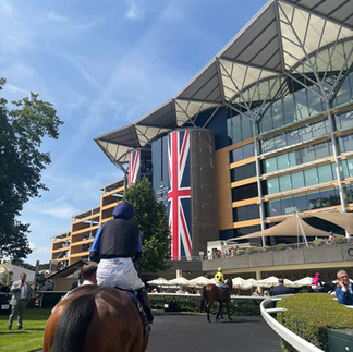 Pompey Ventures Racehorse syndciates